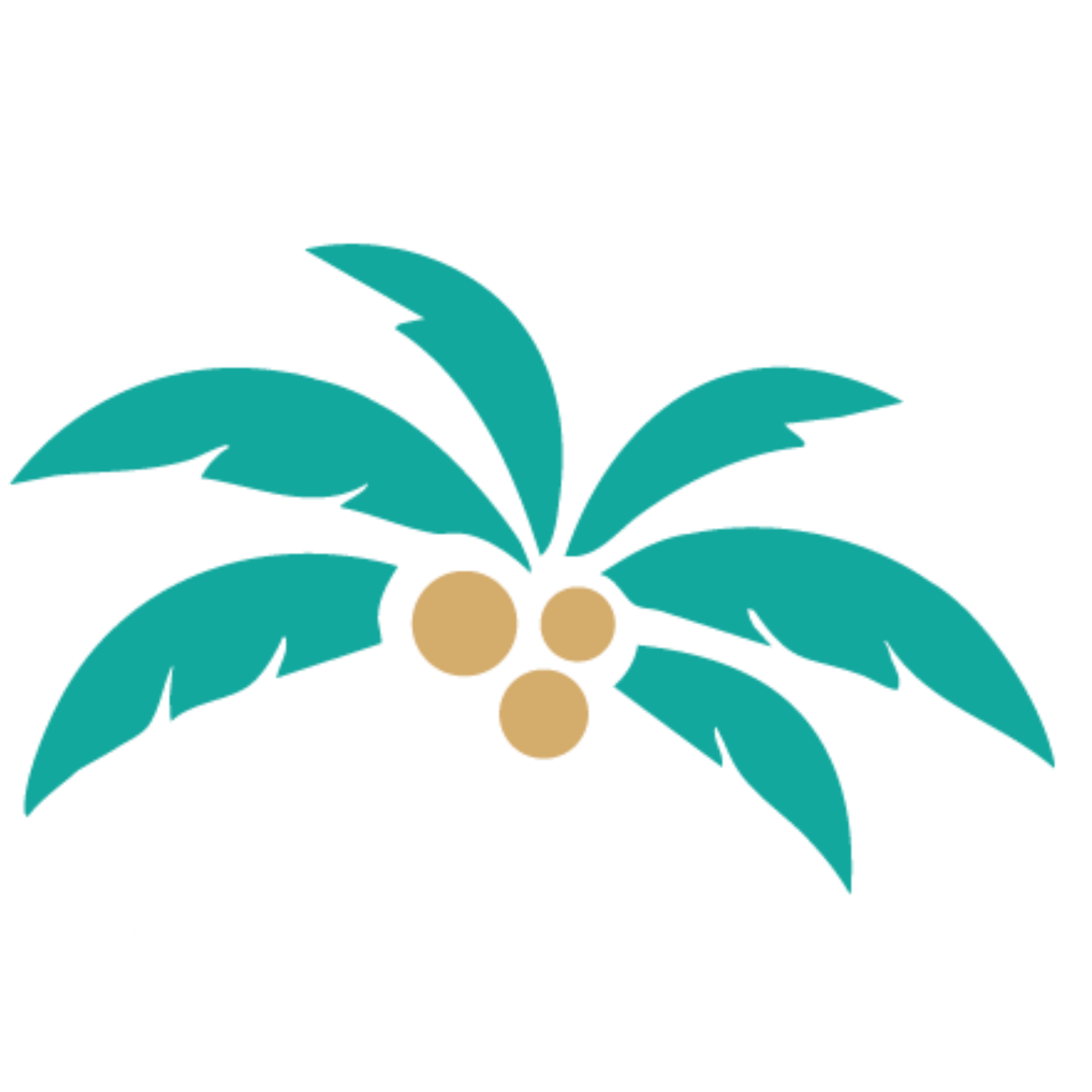 Coconut Coast Organization of REALTORS®